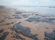 Governo mente e esconde informações sobre óleos nas praias do Nordeste