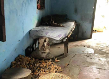 Em uma fazenda no interior da Bahia, trabalhador dormia ao lado de chiqueiro