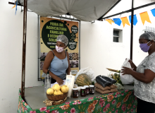Agricultores familiares de Feira de Santana/BA inovam para se manter durante a crise
