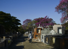 Em março, mês mais letal da pandemia, Covid-19 matou mais de  62 mil brasileiros