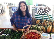 MT: Terezinha Rios, líder da Unicafes, é assassinada