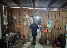 RS: Fiscais resgatam homem com tornozeleira eletrônica que dormia no chiqueiro