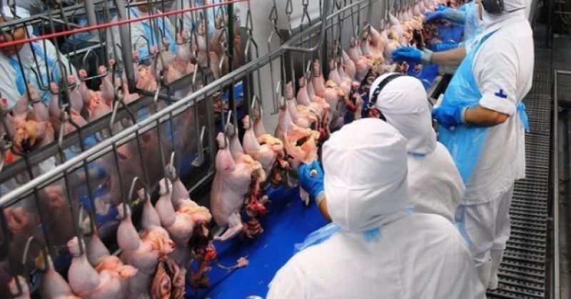 Frigorífico é condenado por jornadas excessivas e desrespeito ao descanso semanal – CUT