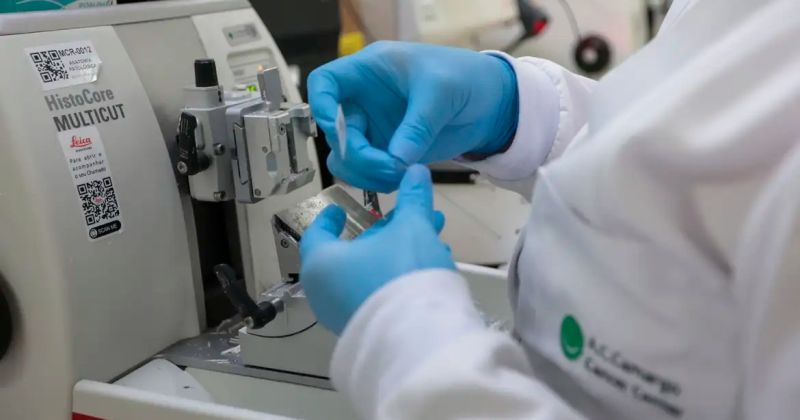SUS inclui nova terapia para pacientes adultos com leucemia mieloide – CUT